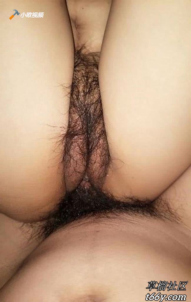 www.v2ba.org