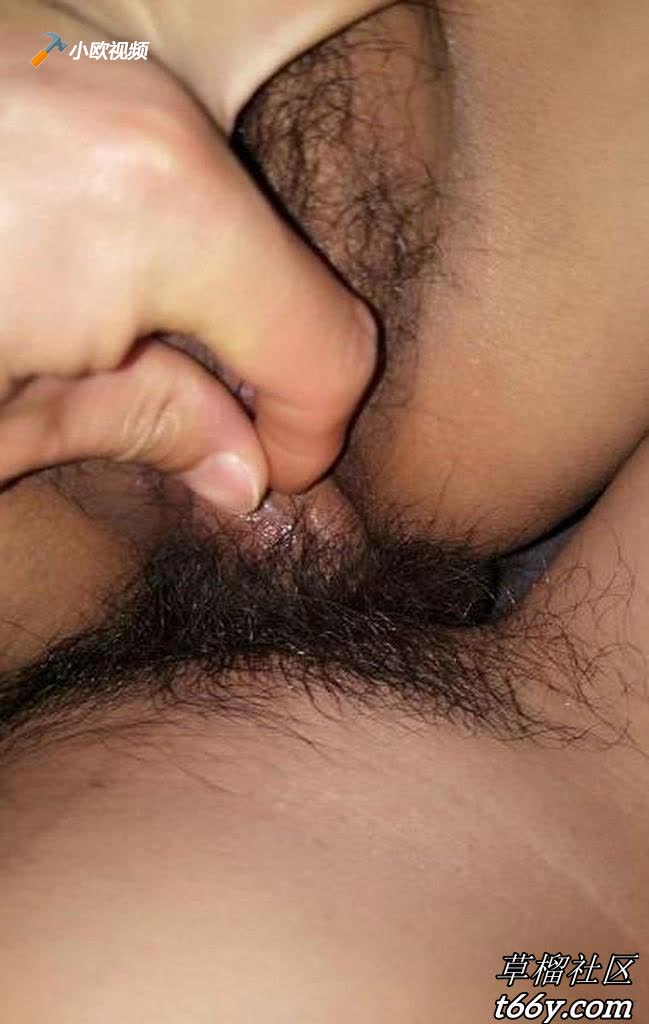 www.v2ba.org